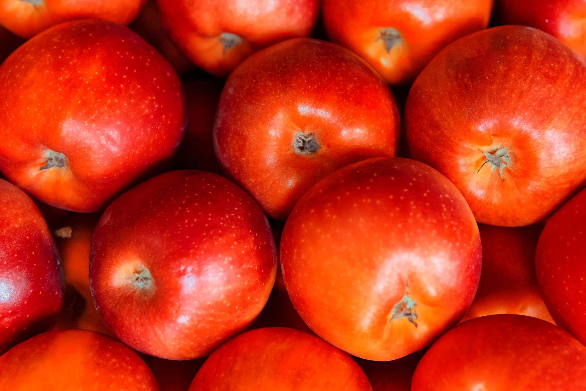 Jabolčni sok, 1 l – Sadovy Sok